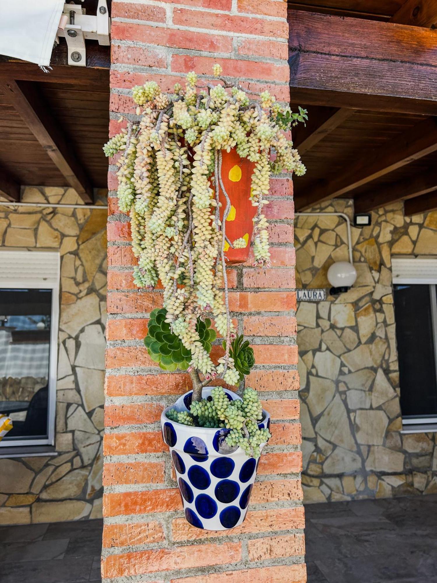 Villa Rosal- Solo Familias Y Parejas Conil De La Frontera Exterior foto