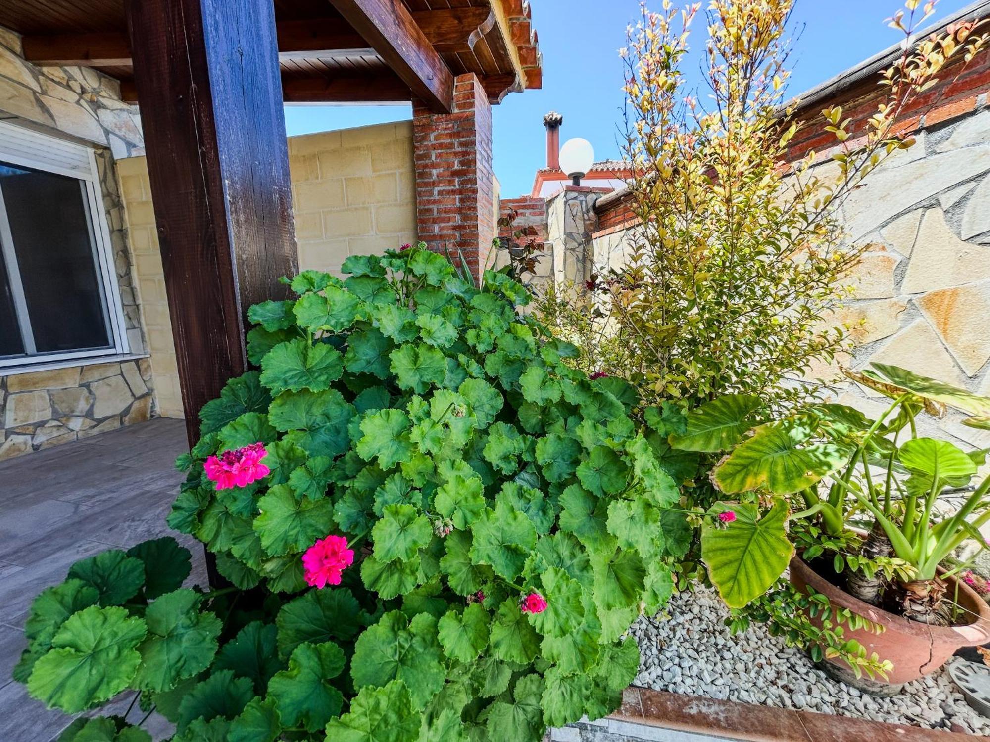 Villa Rosal- Solo Familias Y Parejas Conil De La Frontera Exterior foto